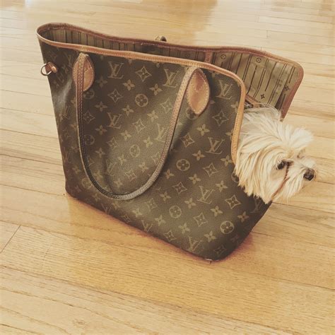 cappotto per cani louis vuitton|Louis Vuitton dog bag monogram.